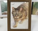 動物イラスト描きます 油絵や色鉛筆などを使って手元に残せる作品をお届けします イメージ4