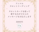 アニマルタロットカードリーディングをします カードを使って愛するわが子からのメッセージをお伝えします イメージ1