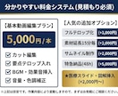 放射線技師が医療・整骨院専門で動画編集します 専門用語も丸投げOK！現役技師が信頼の動画を制作します イメージ4