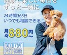 高品質・低価格のバナー・サムネイル制作します ご要望にお応えできるよう尽力いたします。 イメージ9