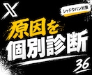 Xのシャドウバン原因を個別診断・対策します 16件の対応経験をもとに、原因候補から再発防止まで整理します イメージ1