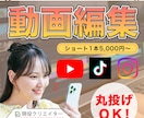実績500本以上！ハイクオリティの動画を制作します 丸投げOK！あらゆるジャンルに対応可能。部分編集などもOK！ イメージ1