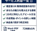 20代のための履歴書職務経歴書を作成します 転職5回成功の実体験で20代の『書類作成の不安』を『自信』に イメージ2