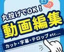 現役動画編集者が編集承ります 時間も労力もカット！忙しいあなたに代わって編集いたします イメージ1