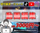 ショート動画制作いたします ショート動画特化型　商品宣伝　エンタメ イメージ1