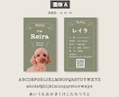 ペット写真名刺｜犬猫などうちの子名刺制作します スマホ撮影OK! 色と書体が選べるセミオーダー100枚送料込 イメージ7