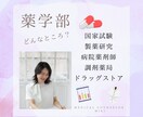 薬剤師になりたい方、ご相談にのります 親は薬剤師じゃないけれど薬剤部志望の方、事情をお伝えします イメージ1