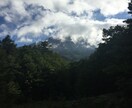 ヒーラーと、お友達感覚で話せます リーディングしながら、お答えします。 イメージ1