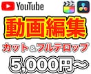 YouTube動画のカット、テロップ編集します 動画編集歴8年！テロップ編集します！ イメージ1