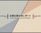 XBRLを活用した比較資料（２社指定）を作成します ◇投資活動や企業分析の「最初の一助」を提供いたします！◇ イメージ2