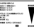 ダイエットの基礎知識を提供します いろんなダイエットに失敗してきた方、初心者必見！ イメージ2