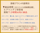 添削プラン　職務経歴書や応募文章をプロが添削します プロ品質の文章を作成/結果に直結　総販売実績1600件突破 イメージ5