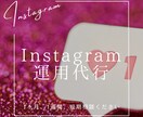 Instagram 完全手動にて運用代行致します 基本手動にての運用で破格且つ安心安全をモットーにしています イメージ1