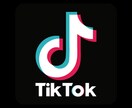 TikTokのアドバイスします 【300万再生の実績あり】初心者でも丁寧に教えます！ イメージ6