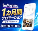 Instagramを1カ月間プロモーションします 実績・高評価あり｜日本人ユーザーを中心に1カ月間認知拡大 イメージ1