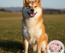 ペットモデル用写真1枚で魅力を引き出します 本来の魅力を最大限に引き出すための魅せ方アドバイスをお届け！ イメージ2