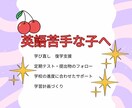 元中学校教諭による英語学習サポートを行います 不登校・発達特性のあるお子さんに向けた英語学習サポートです。 イメージ1