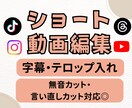 ショート動画の字幕入れします 無音カット・字幕・テロップ対応します イメージ1