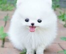 いろいろな愚痴や相談聞きます(^-^)話し相手にもなりますよ？他にもコラボ画像作ったりもしますよ！ イメージ2