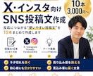 X・インスタ向けSNS投稿文を10本作成ます そのまま投稿できる、反応をねらった文章をお届けします イメージ1