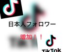 TikTok 日本人フォロワー増加します あなたのアカウント全力応援！！ イメージ1
