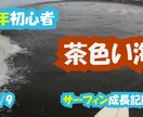 面倒な動画編集（特にモザイク加工）を請け負います 自分で動画編集できない・時間がない方お任せください イメージ5