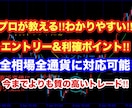 FXで安定する為に変えた２つの事を伝え教えてます 低迷期から低額で這い上がった手法と資金管理術を伝授します イメージ3