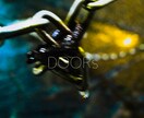 CDジャケットなどの写真撮影と画像編集をします 貴方だけの印象に残るカバージャケットを作ります。 イメージ2