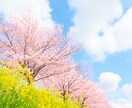 癒しのレイキヒーリングをお届けします 宇宙からの癒しのヒーリングです イメージ1