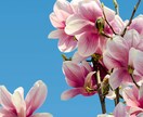 日頃の愚痴・悩みなんでも聞きます 自分の周りの人に言えない、けど言いたいことってありませんか？ イメージ2