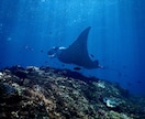あなたの邪気の浄化を行い、願いを叶いやすくします 願いを現実に変えるために、まず魂の汚れを清めましょう イメージ8