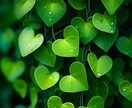 復縁専門♡忘れられないあの人と再結縁！力になります よみがえりの力♡絶望を希望に転換したい方へ寄り添いアドバイス イメージ3