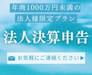 年商1000万円未満の法人決算申告を税理士がします 【全国対応・税理士】年商1000万円未満の法人様限定プラン イメージ2