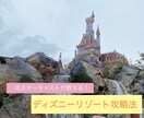 ディズニーリゾートの効率的な回り方を教えます !アトラクションもショーもグリーティングも諦めたくない!! イメージ1
