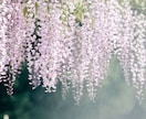 恋愛相談が出来ます 悩むあなたの力になるよなんでも聞くよ! イメージ9