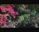 シネマティックなレタッチをいたします お手持ちの写真データをもっと素敵に。 イメージ9