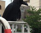 脇見恐怖症、相談乗ります 数年前まで脇見恐怖症でしたが克服することができました イメージ2