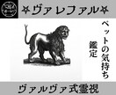ヴァレファルの力でペットの本音を暴き絆を深めます ヴァレファルがペットの本音を暴き相性、改善策を視る イメージ1