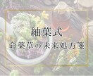 四柱推命と命薬草であなたの未来を優しく調えます あなたの宿命を読み解き、そっと導く命薬草処方箋をお届けします イメージ1