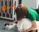 即レス✩.*˚LINE感覚で1時間チャットします 即レスです！1時間愚痴や相談などなど…などなど何でもどうぞ♡ イメージ1