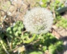1人じゃないです【雑談OK】カウンセラーと話せます 嬉しいこと・悲しいこと、誰かに言いたい、一緒に考えてほしい イメージ4