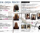 サロンでの実績を活かした反応されるチラシ作ります 美容師が本当に反応の合ったチラシ案を元にデザインを作ります！ イメージ6