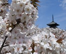 京都観光マスターがオリジナル旅行プランを提案します 19年間、京都観光専門サイトを運営してきた京都人がオススメ イメージ6