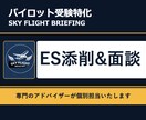 パイロット受験ES添削とフィードバック面談します 航空現場のリアル×大手ビジネス思考で面接官に響くESへ イメージ1