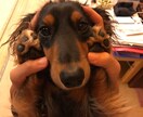 なんでも聞きます 辛い事、楽しい事、人には相談出来ない事なんでも！ イメージ1