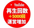 YouTubeの再生回数を＋5000回増やします ▶︎1000回数単位で振り分けOK！「30日間減少保証あり」 イメージ1
