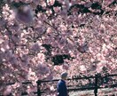 風景・旅行写真を落ち着いた雰囲気にレタッチします RAWデータを元にアンダーで雰囲気ある色味に丁寧に仕上げます イメージ8
