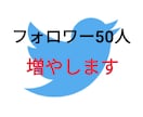 Twitterのフォロワー50人増やします Twitterアカウントフォロワー約5000人にて宣伝します イメージ1