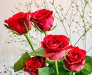 あなたの撮影した写真を編集します 周りと差が着くひと工夫!あなたの写真をワンランクアップ!! イメージ4