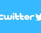 情報や告知を、私の運用アカウントにて拡散します ツイッター合計で約1万人以上のフォロワーを保有しています。 イメージ1